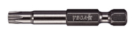 TORX Tamper 10 Power Bit x 2"