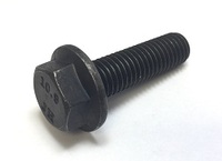 M6-1.0 X 20MM HVY HEX FLG BOLT GM#11516521