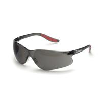 Xenon Gray HC Lens, Black Temples/Red Tips.