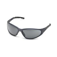 SF10-ERBSG-24G XTS Gray HC/PC Lens, Slate Gray Frame.